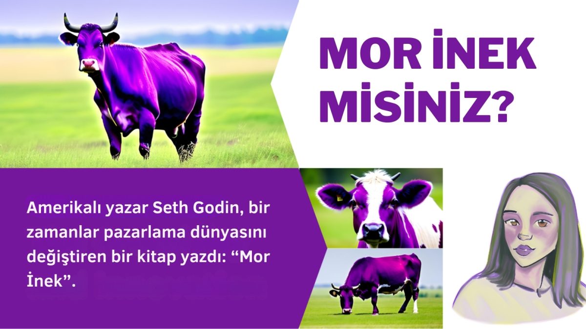 Mor İnek Misiniz?